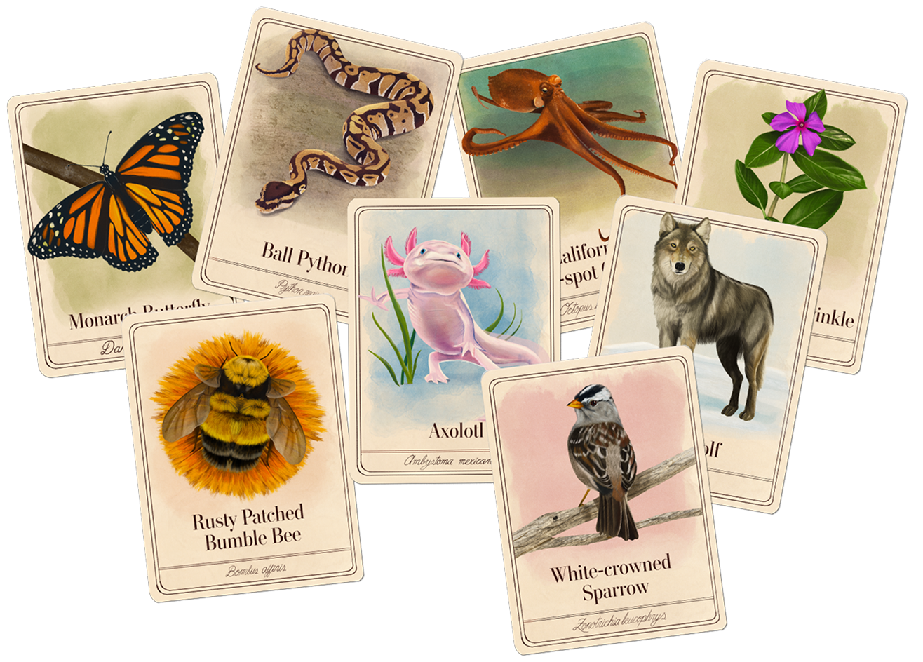 Species That Save Us — illustrated animal trading cards