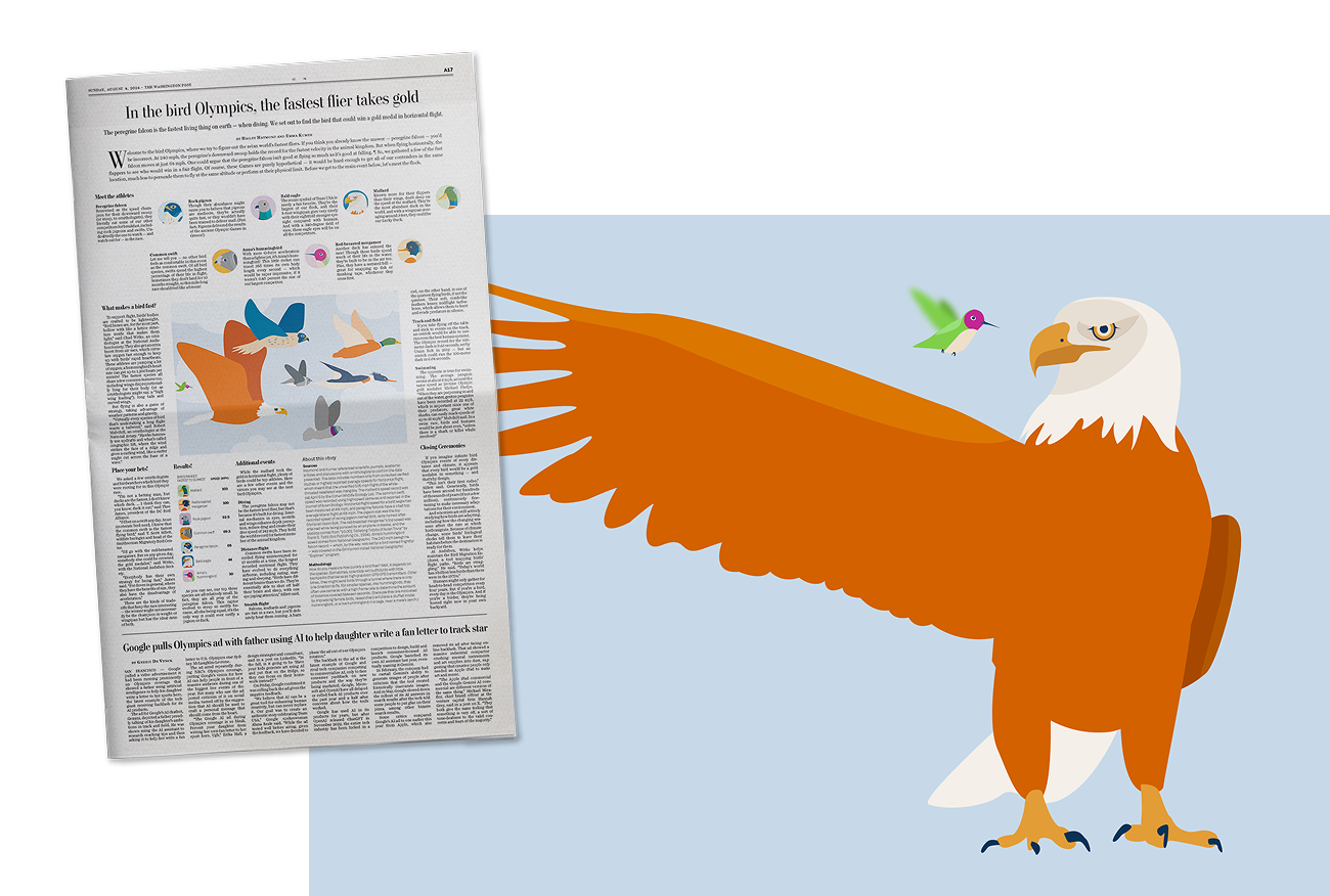 Bird Olympics — illustration and reporting