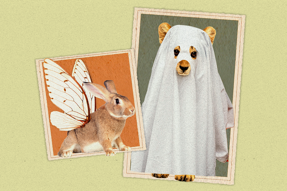 Mimicween — illustration and design