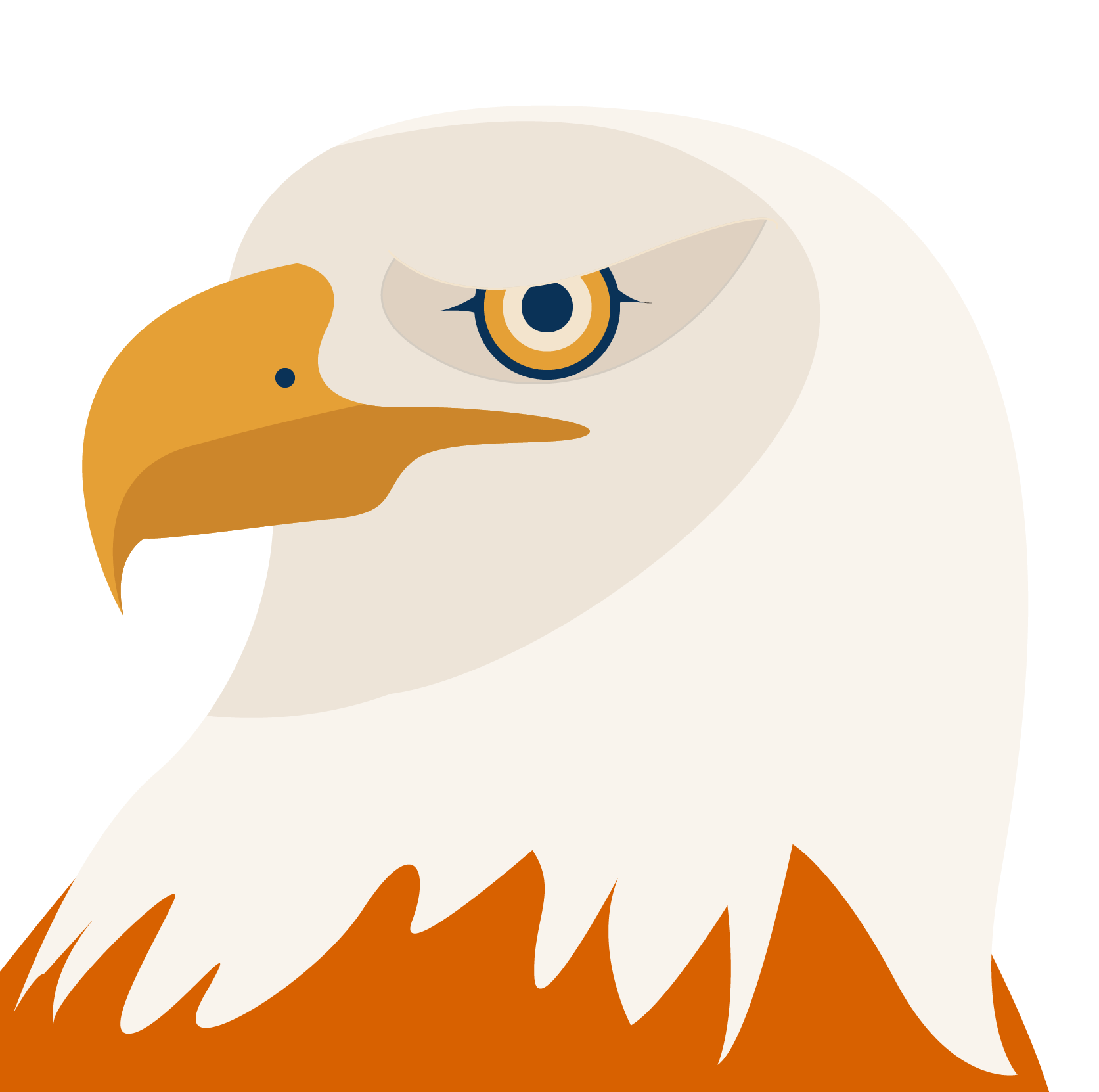Bald eagle illustration