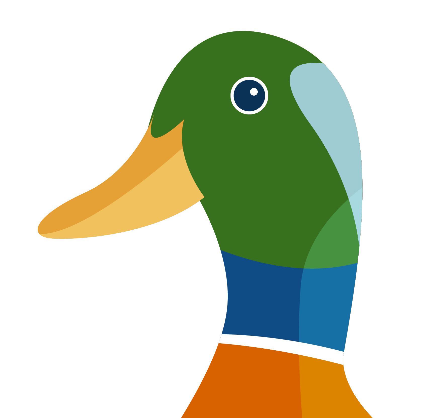 Mallard illustration