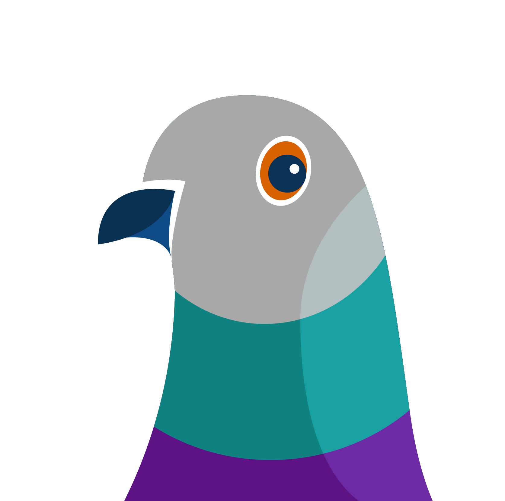 Pigeon illustration