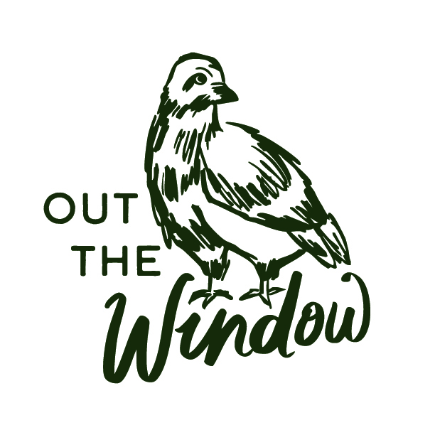 Out The Window — bird logo