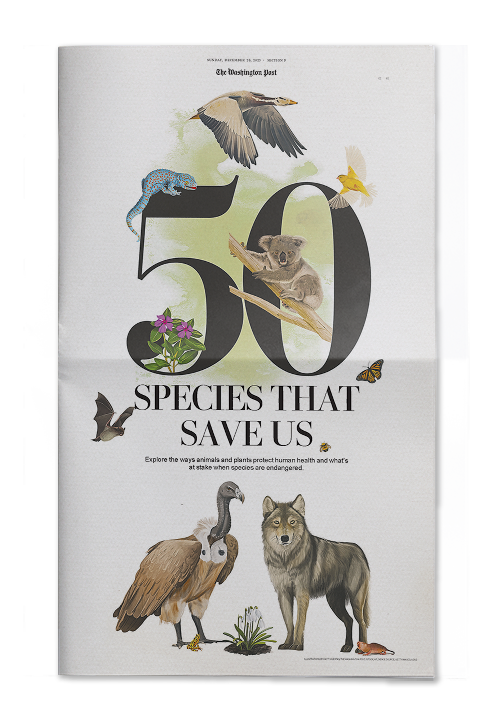 Species That Save Us — Washington Post front page print