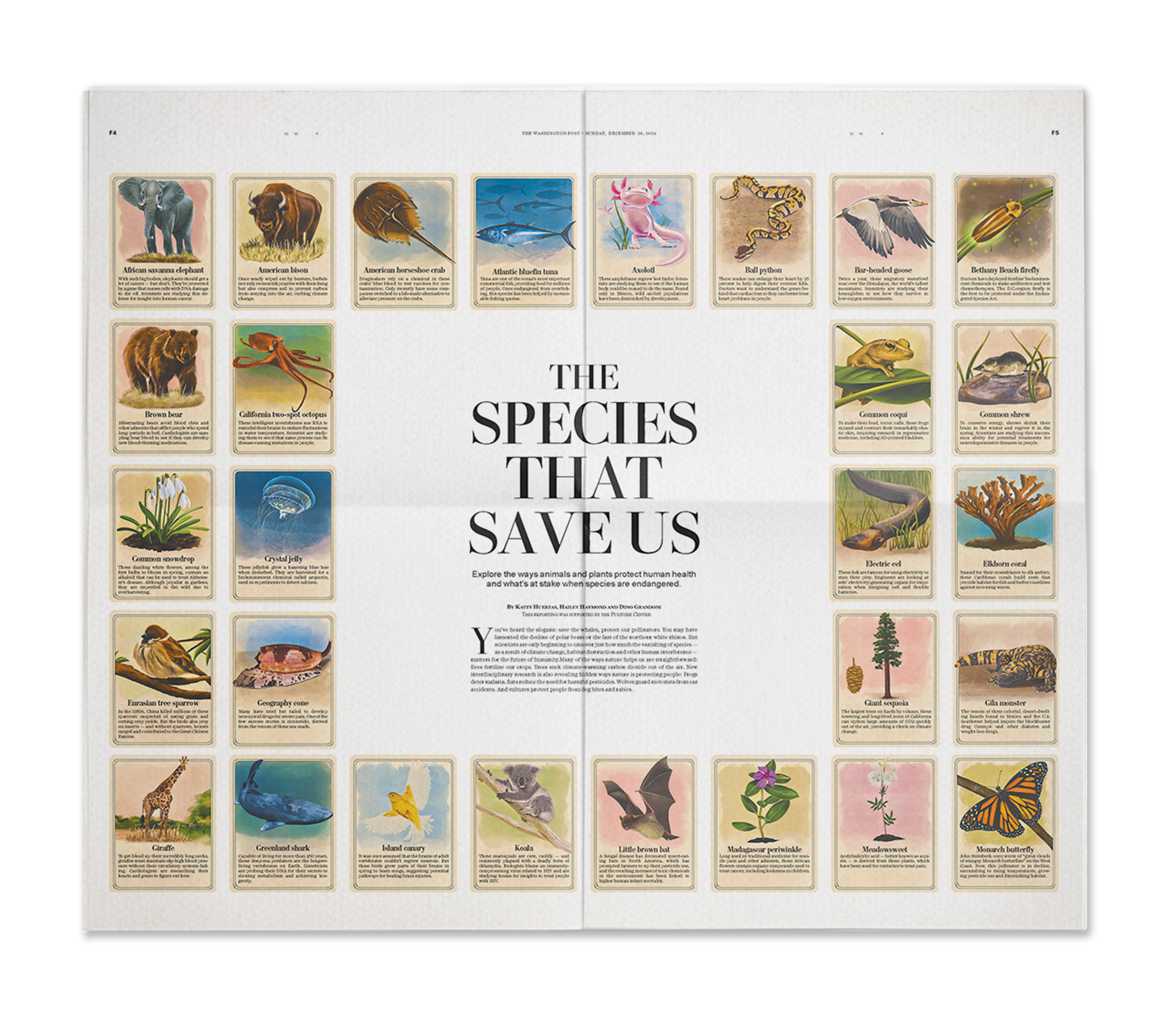 Species That Save Us — full print spread