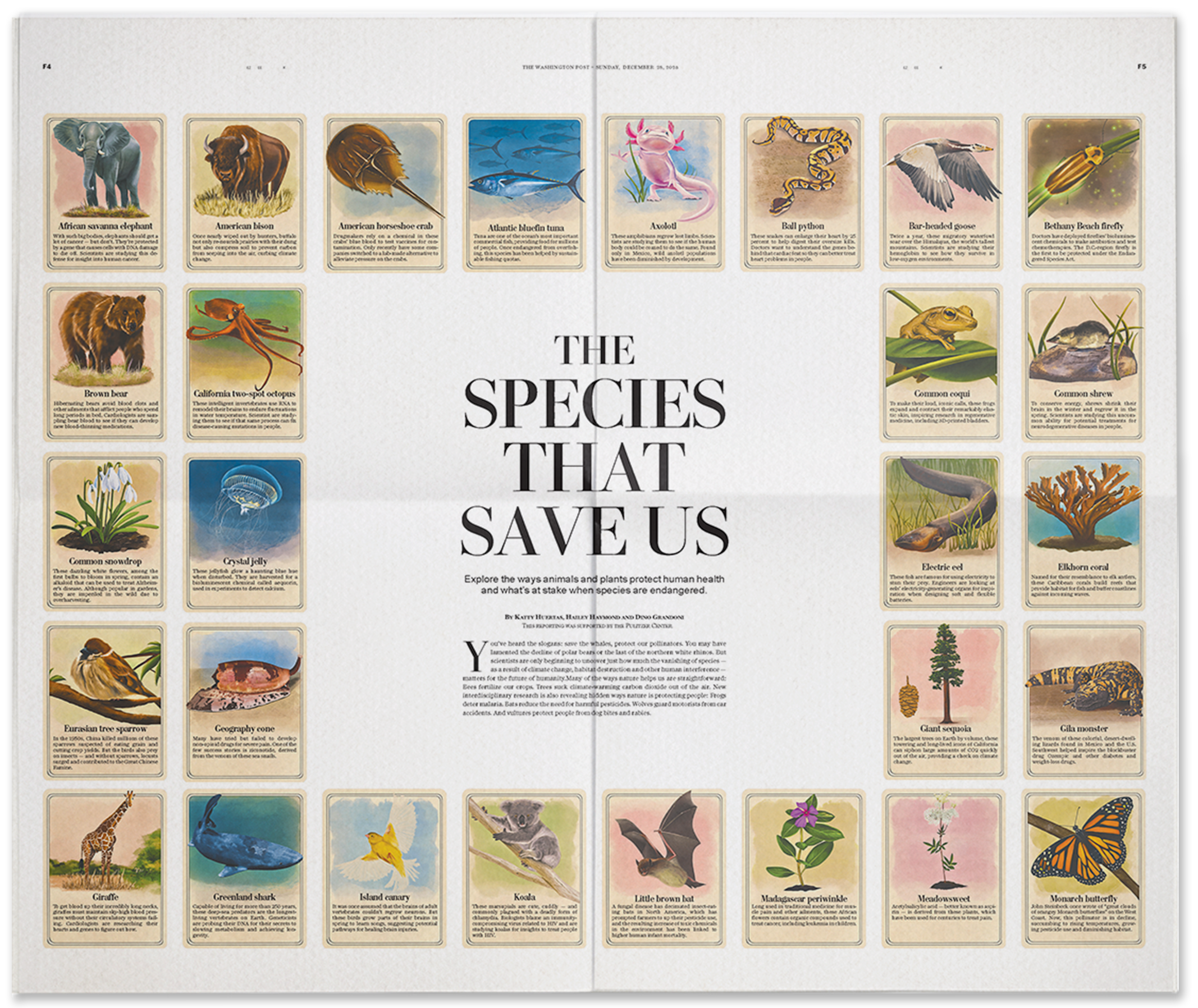 Species That Save Us — print spread