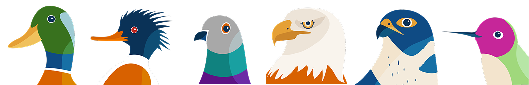 Bird Olympics — illustrated bird characters