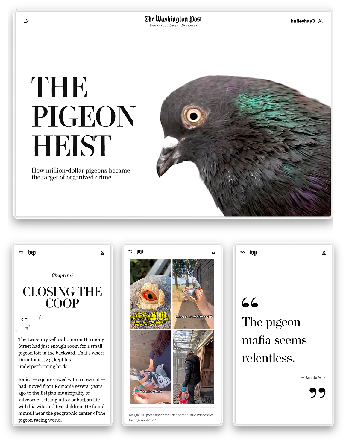 The Pigeon Heist — Washington Post investigation